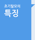 초기탈모의 특징 