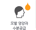 모발 영양과 수분공급