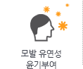 모발 유연성 윤기부여