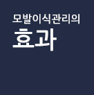 모발이식관리의 효과