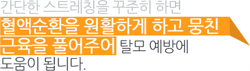 간단한 스트레칭을 꾸준히 하면 혈액순환을 원활하게 하고 뭉친 근육을 풀어주어 탈모 예방에 도움이 됩니다.  