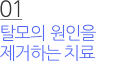 01 탈모의 근본원인을 제거하는 치료