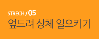  STRECH / 05 엎드려 상체 일으키기