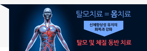 탈모치료 = 몸치료, 신체항상성 유지의 회복과 강화, 탈모 및 체질 동반 치료