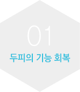 두피의 기능 회복