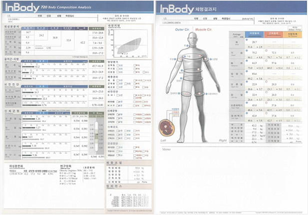 체성분검사 결과지 예시