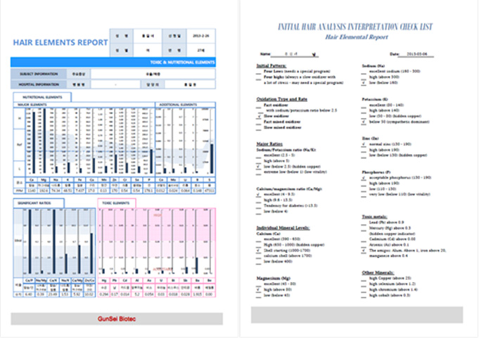 모발미네랄검사지 결과지 예시