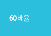 60 배율