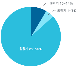 성장기 85~90% , 휴지기 10~14% , 퇴행기 1~3%