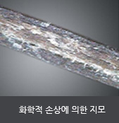 화학적 손상에 의한 지모