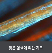 잦은 염색에 의한 지모