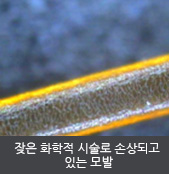 잦은 화학적 시술로 손상되고  있는 모발  