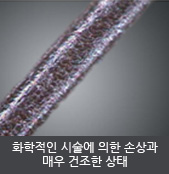 화학적인 시술에 의한 손상과 매우 건조한 상태