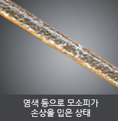 염색 등으로 모소피가 손상을 입은 상태