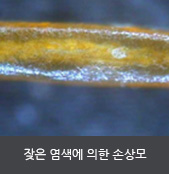 잦은 염색에 의한 손상모