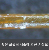 찾은 화학적 시술에 의한 손상모