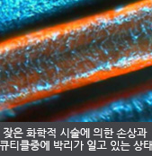 잦은 화학적 시술에 의한 손상과  큐티클중에 박리가 일고 있는 상태