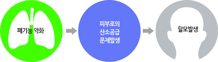 폐기능 약화 > 피부로의 산소공급 문제발생 > 탈모발생