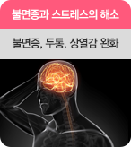 불면증과 스트레스의 해소 불면증, 두통, 상열감 완화