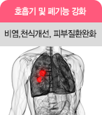호흡기 및 폐기능 강화 비염,천식개선, 피부질환완화