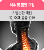 척추 및 골반 교정 기혈순환 개선 목, 어깨 통증 완화
