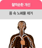 혈액순환 개선 몸 속 노폐물 제거