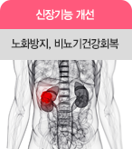 신장기능 개선 노화방지, 비뇨기건강회복