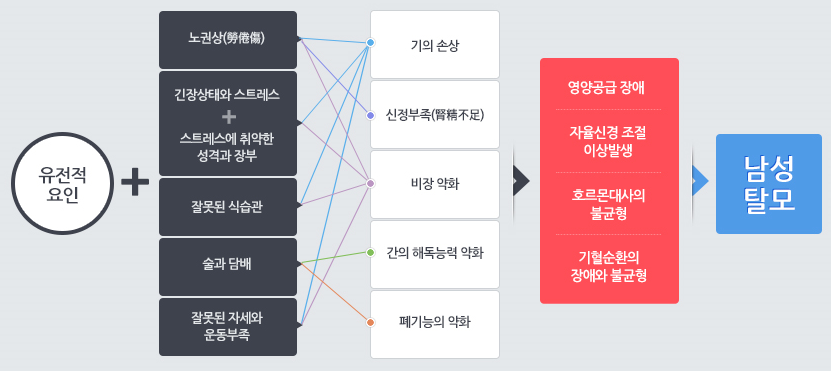 이미지입니다.