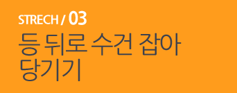  STRECH / 03 등 뒤로 수건 잡아 당기기 